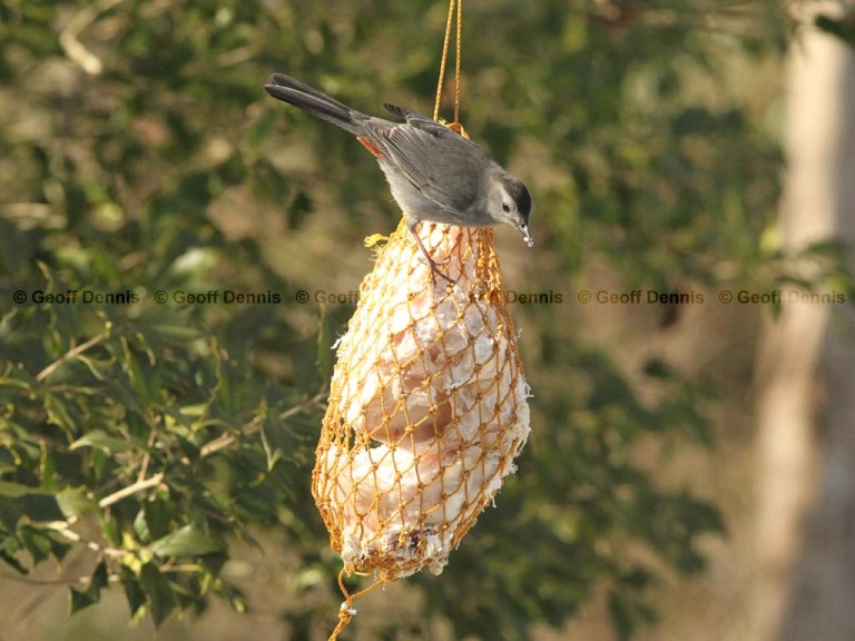 FEEDR-Suet-Bag-AB