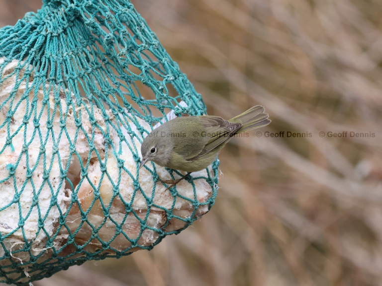 FEEDR-Suet-Bag-AS