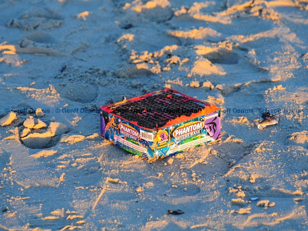 PIPL-17-BP_Piping-Plover