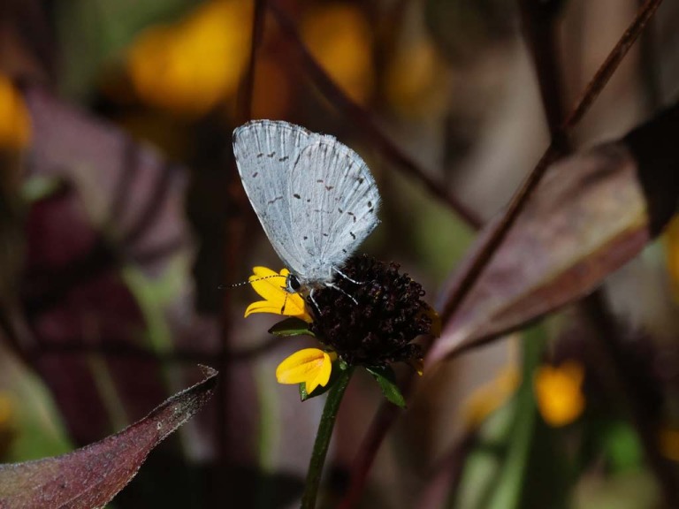 Summer-Azure-AB
