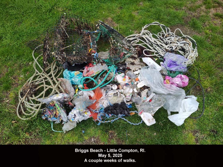 BRIG-2025-AB_Briggs