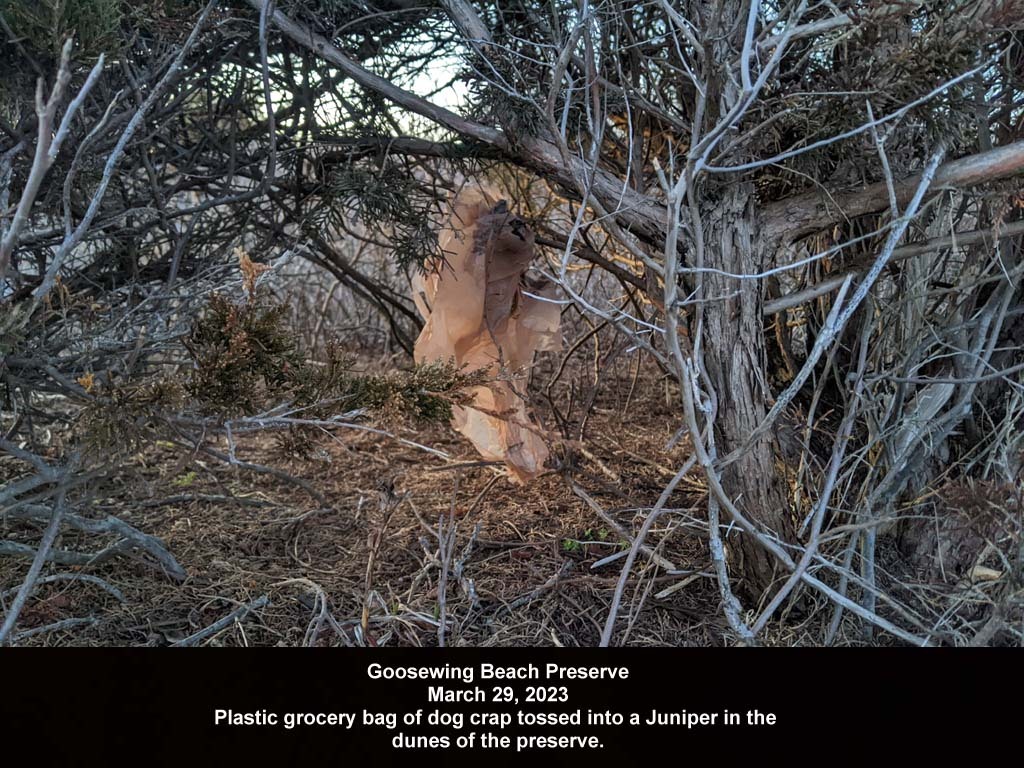 GWT-2023-AB_Goosewing