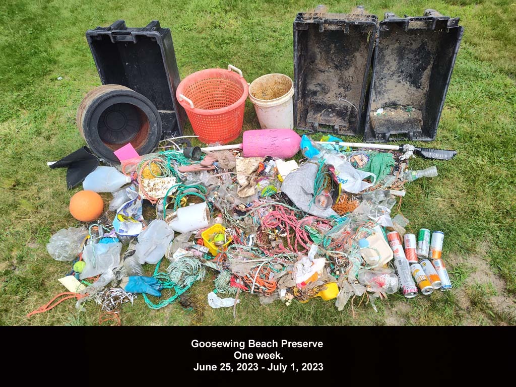 GWT-2023-AG_Goosewing