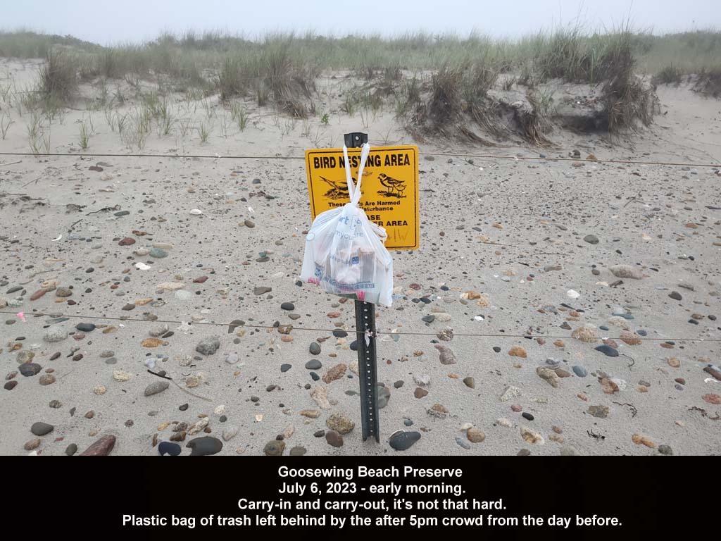 GWT-2023-AI_Goosewing