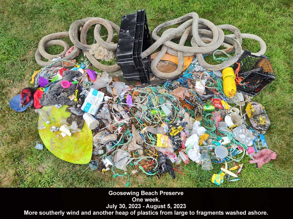 GWT-2023-AO_Goosewing