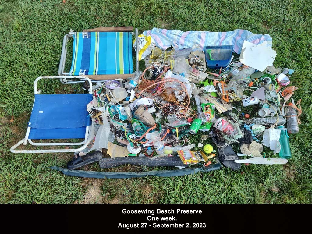 GWT-2023-AVa_Goosewing