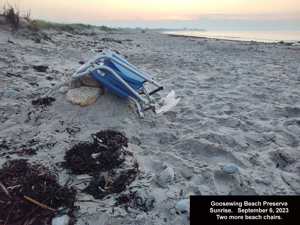 GWT-2023-AX_Goosewing