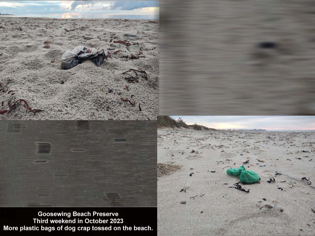 GWT-2023-BE_Goosewing