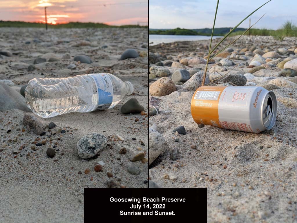 GWT-2022-AV_Goosewing
