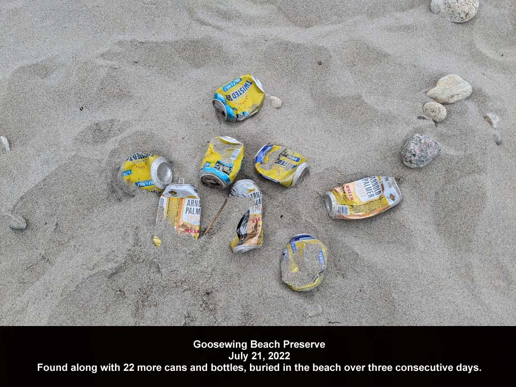 GWT-2022-AW_Goosewing