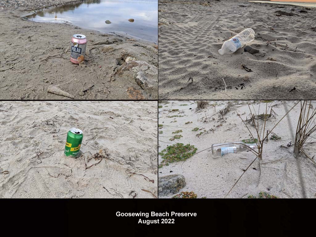 GWT-2022-BA_Goosewing
