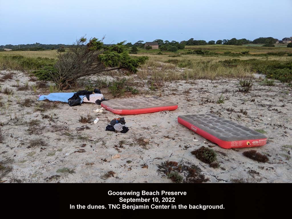 GWT-2022-BD_Goosewing