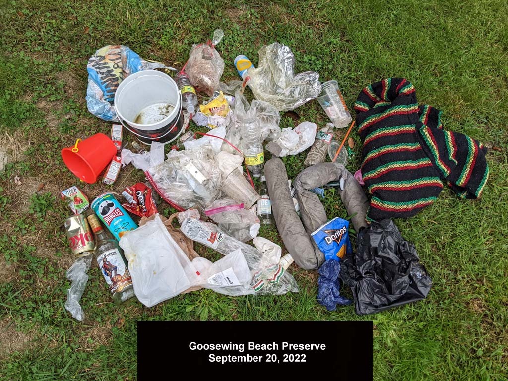 GWT-2022-BE_Goosewing