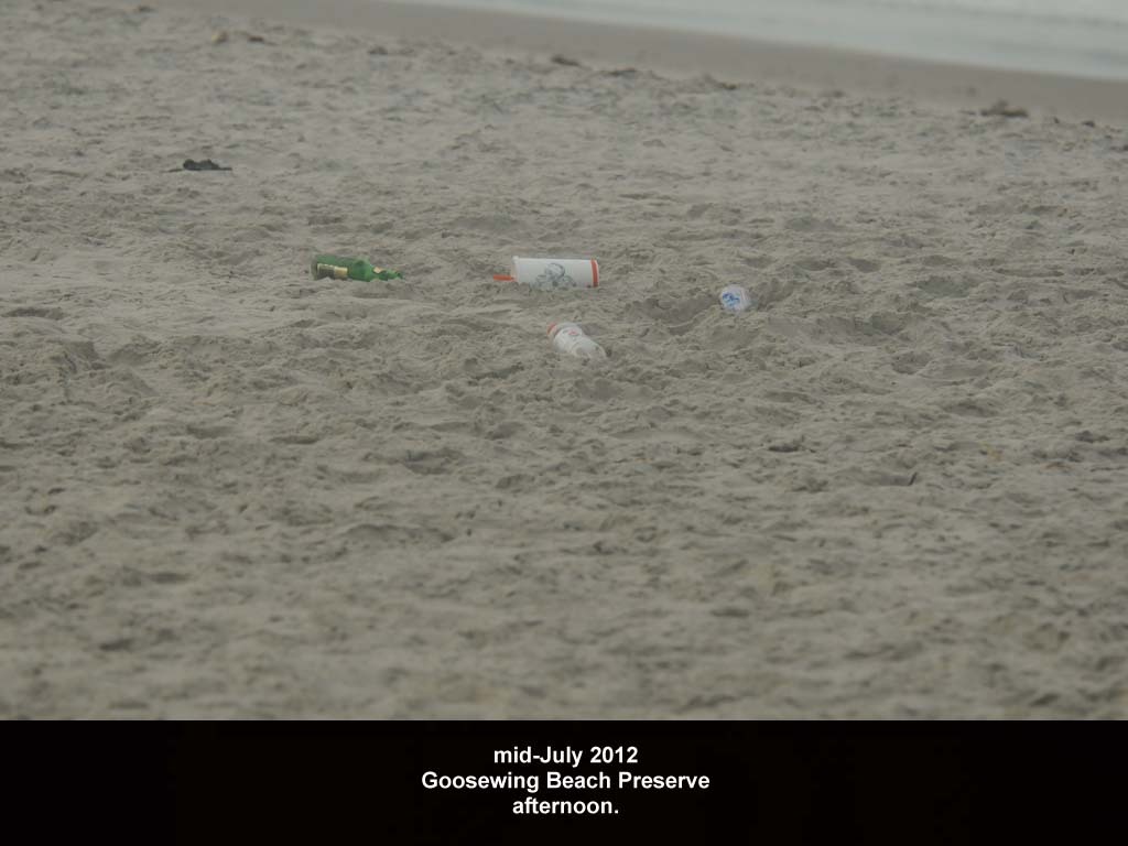 GWT-2012-AB_Goosewing
