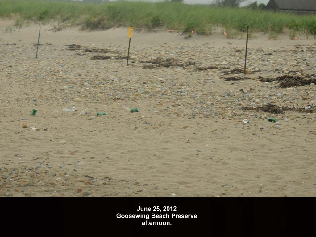 GWT-2012-AC_Goosewing