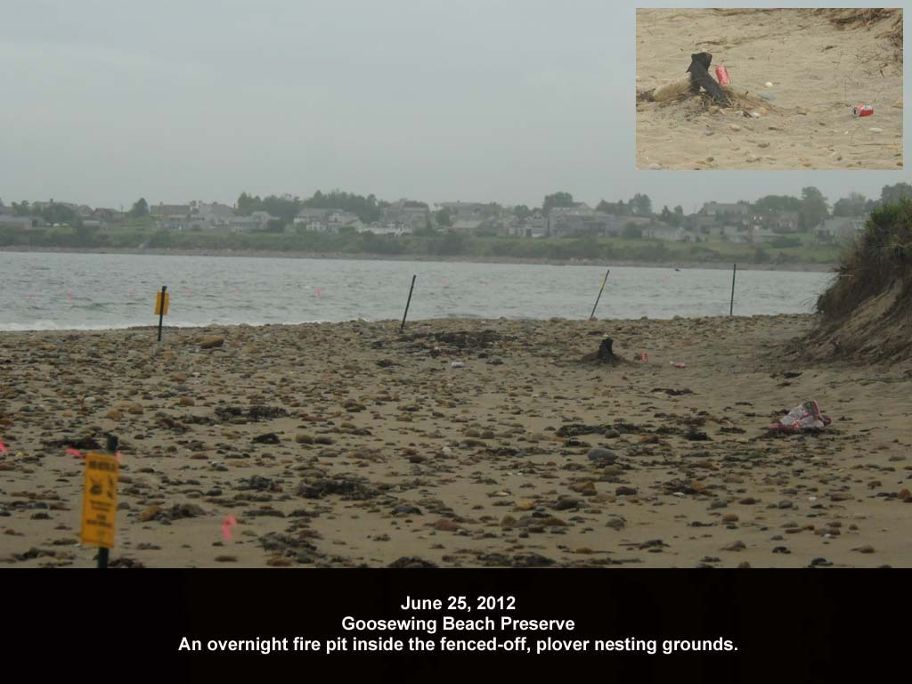 GWT-2012-AD_Goosewing