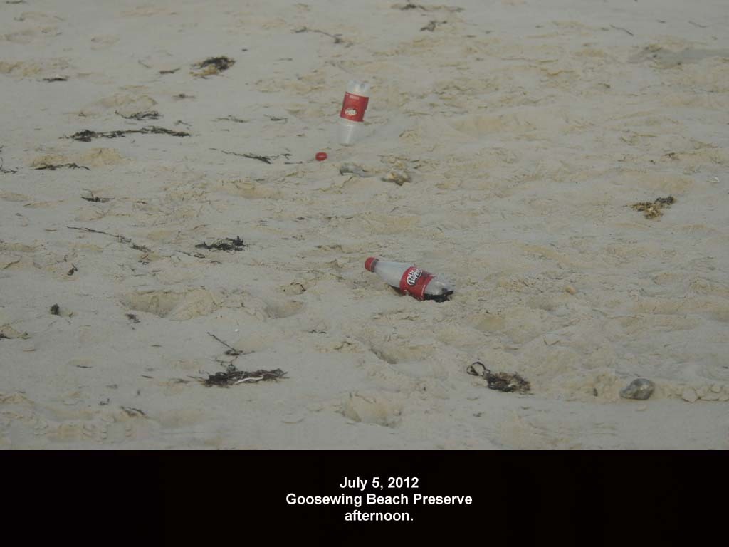 GWT-2012-AF_Goosewing