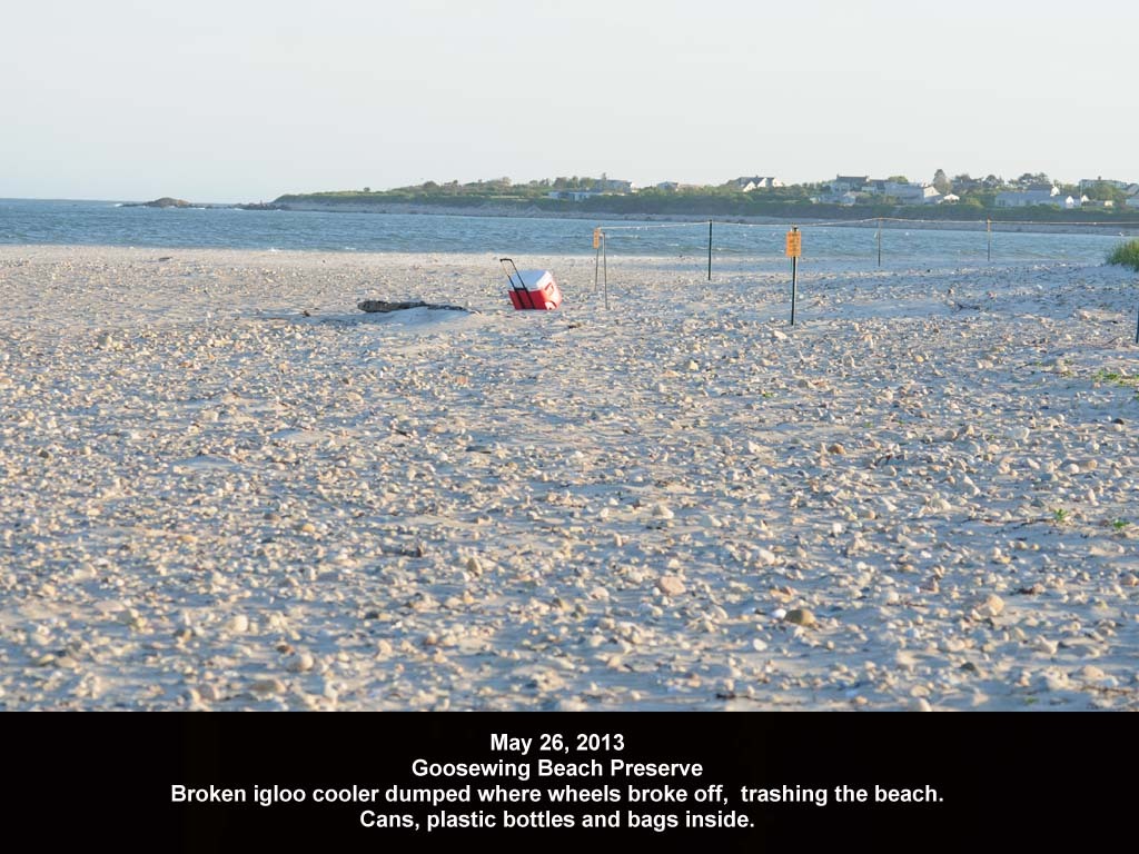 GWT-2013-AA_Goosewing