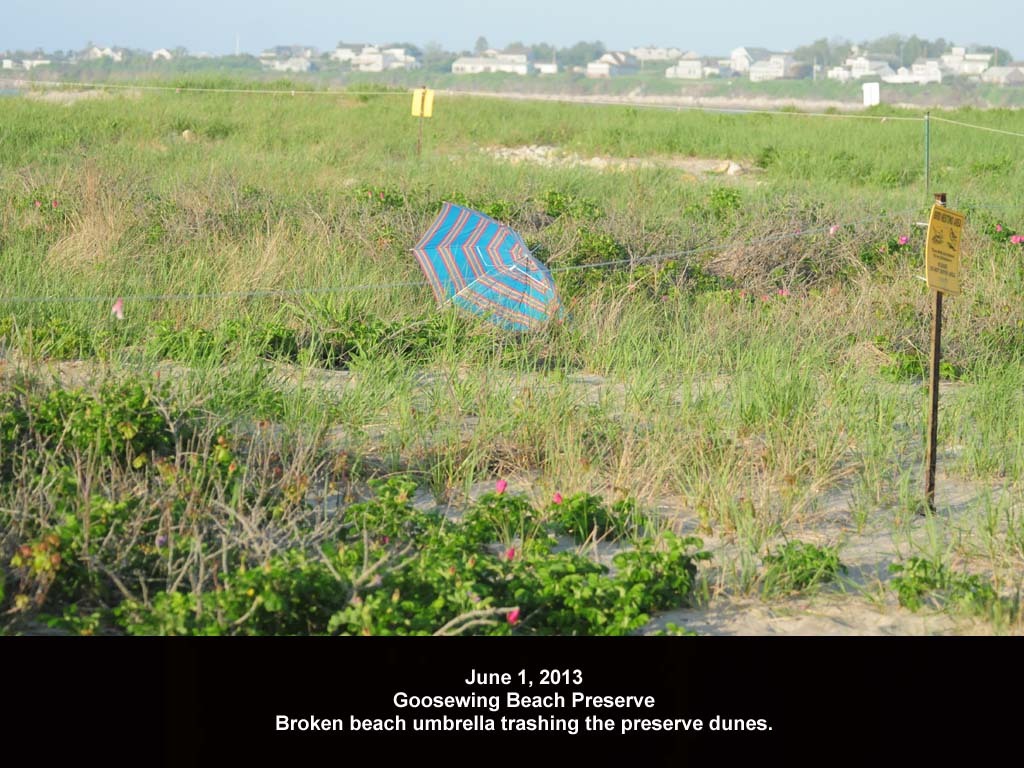 GWT-2013-AB_Goosewing