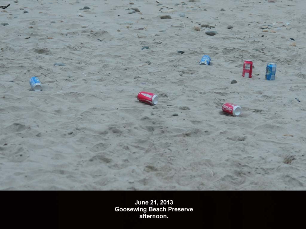 GWT-2013-AC_Goosewing