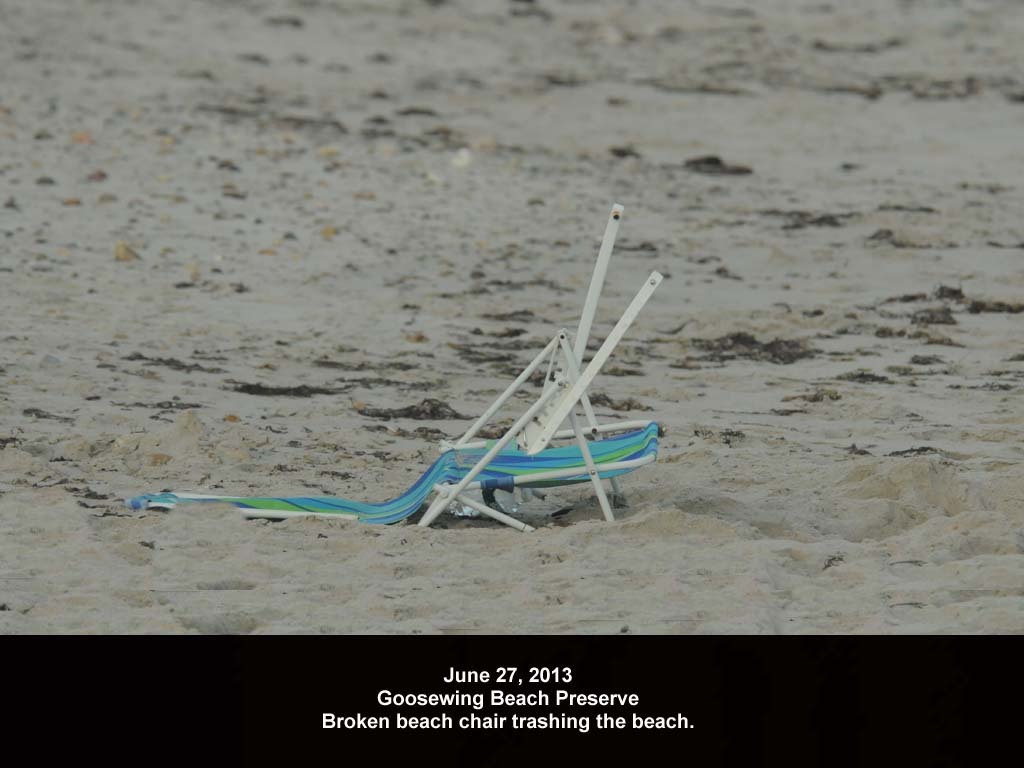 GWT-2013-AD_Goosewing