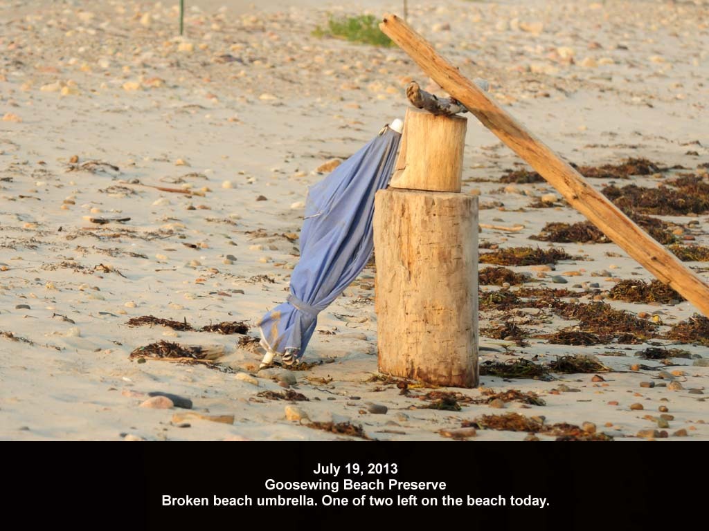 GWT-2013-AG_Goosewing