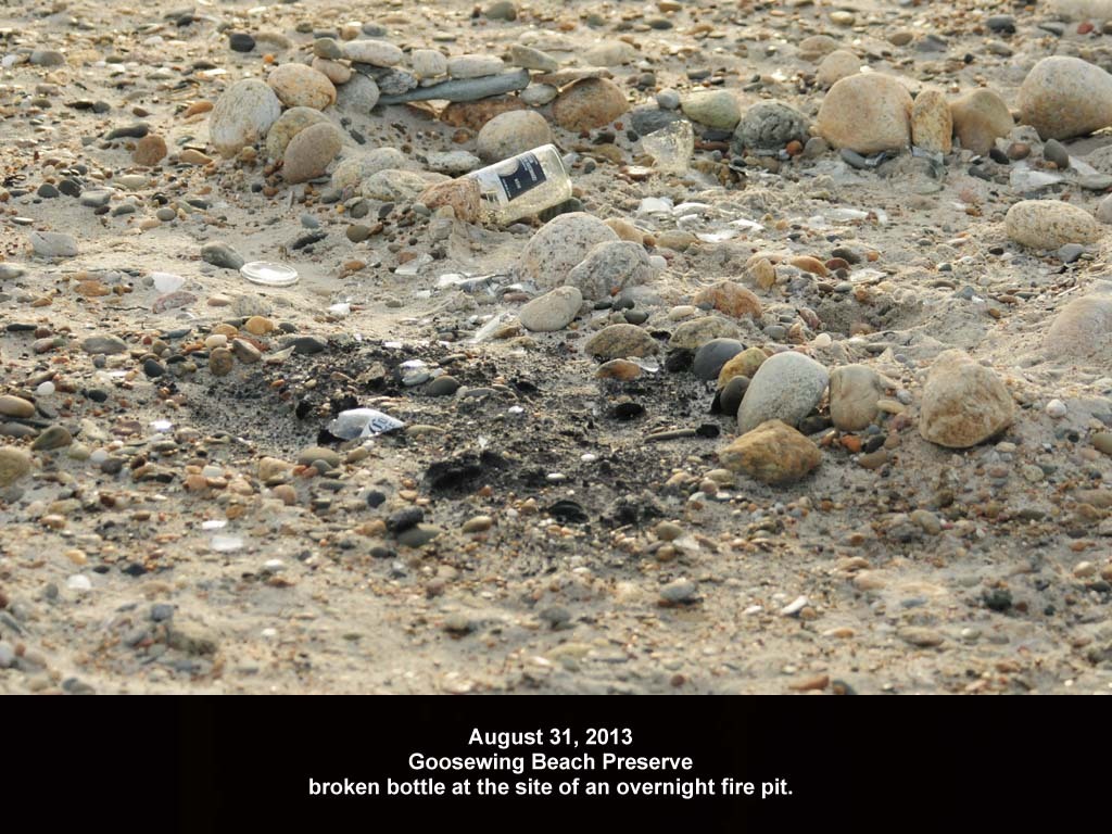 GWT-2013-AH_Goosewing