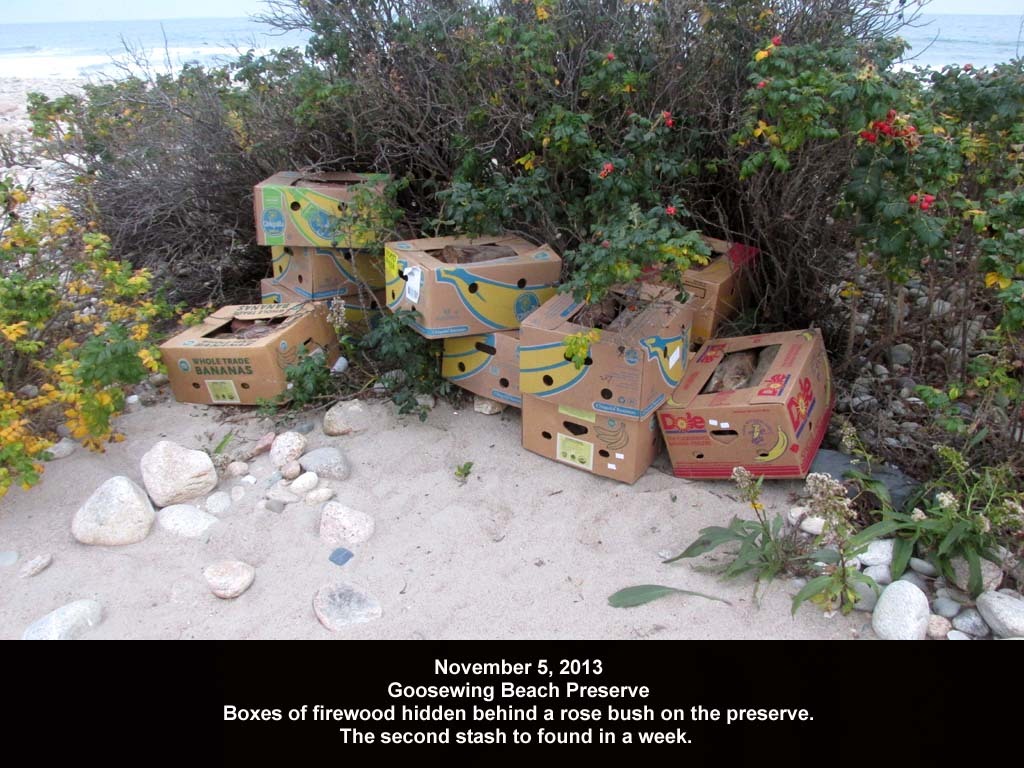 GWT-2013-AI_Goosewing