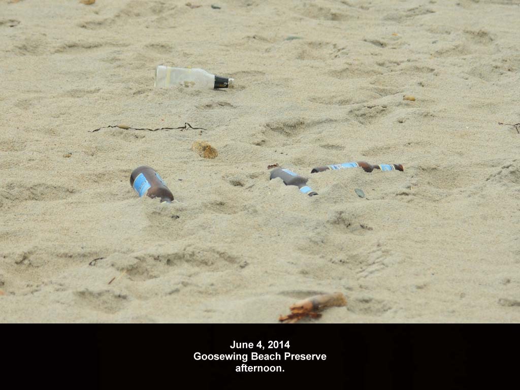 GWT-2014-AB_Goosewing