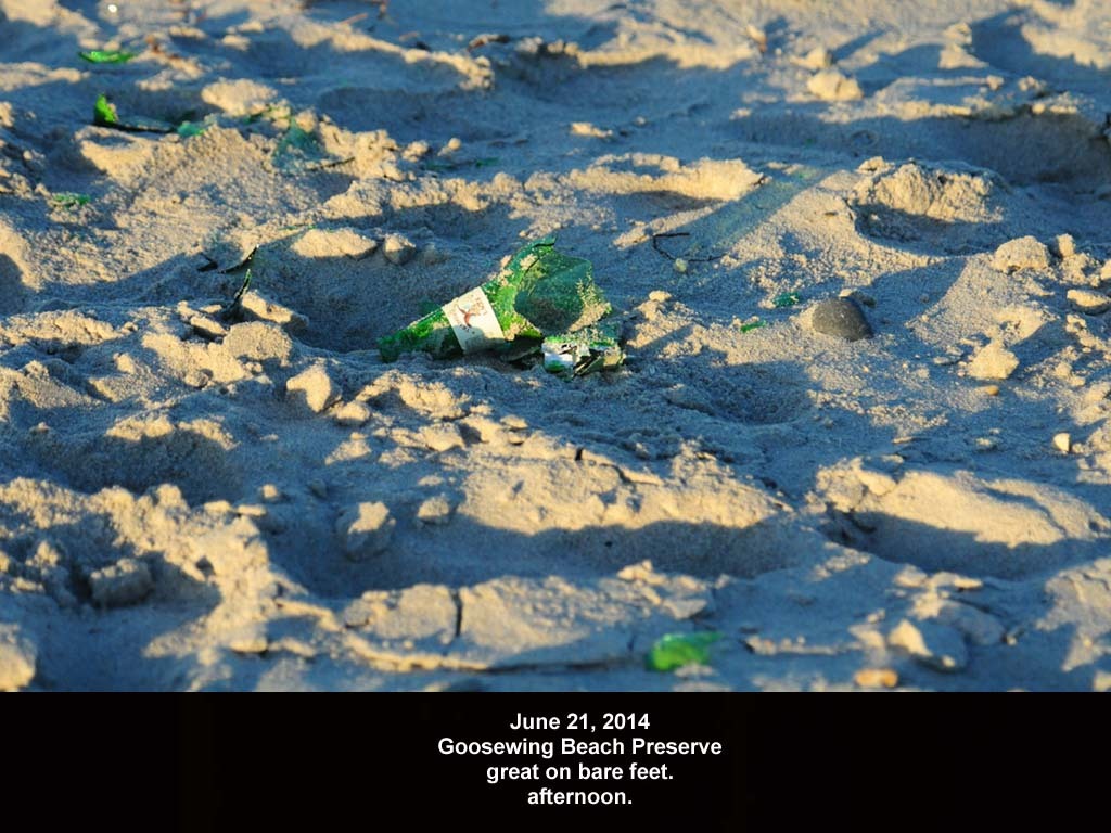 GWT-2014-AD_Goosewing