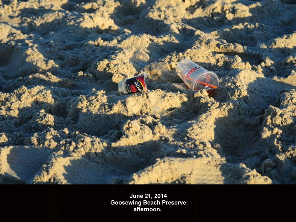 GWT-2014-AE_Goosewing
