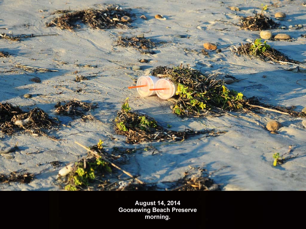 GWT-2014-AG_Goosewing