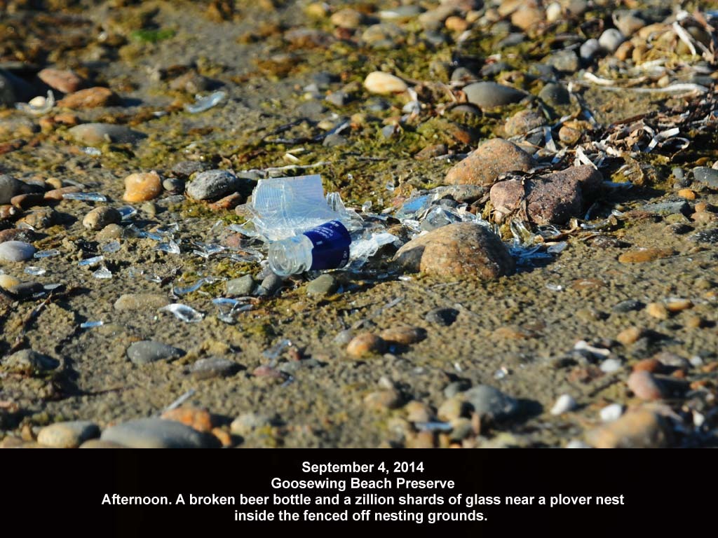GWT-2014-AH_Goosewing