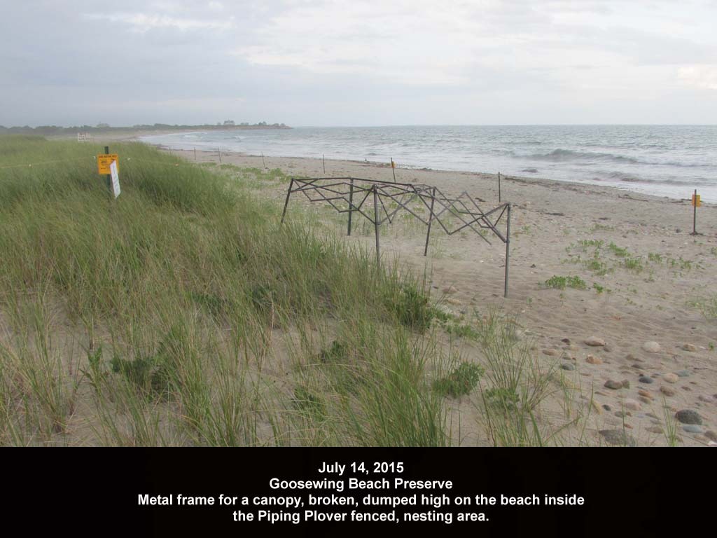 GWT-2015-AC_Goosewing