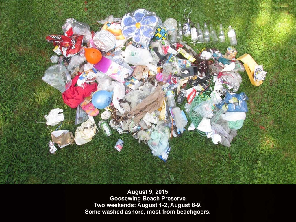 GWT-2015-AF_Goosewing