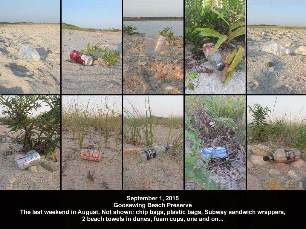 GWT-2015-AG_Goosewing