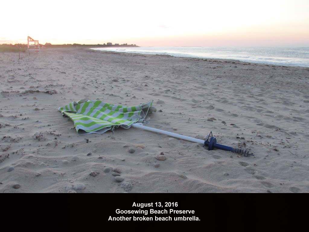 GWT-2016-AJ_Goosewing