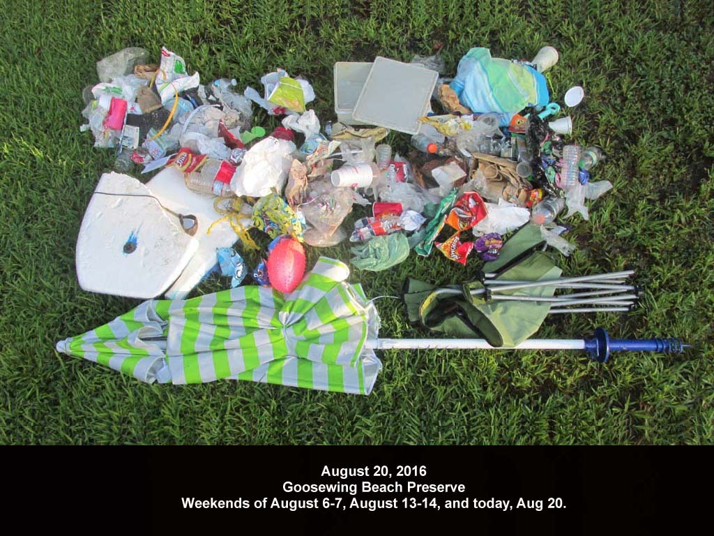 GWT-2016-AL_Goosewing
