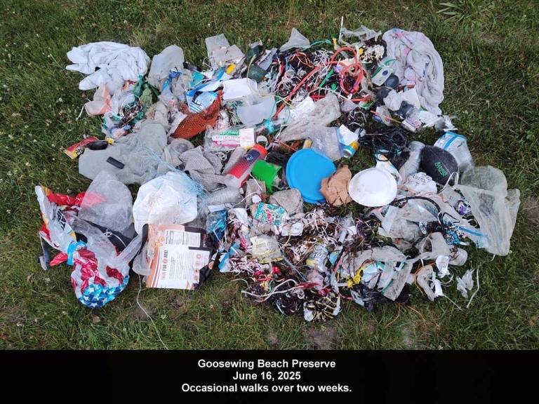 GWT-2025-AO_Goosewing