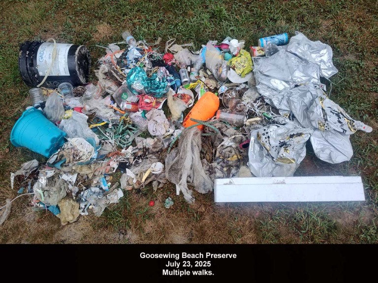 GWT-2025-AT_Goosewing