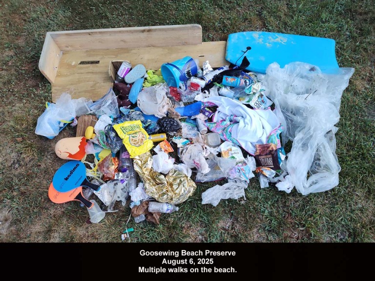 GWT-2025-AU_Goosewing