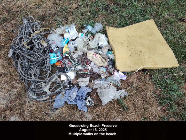 GWT-2025-AV_Goosewing