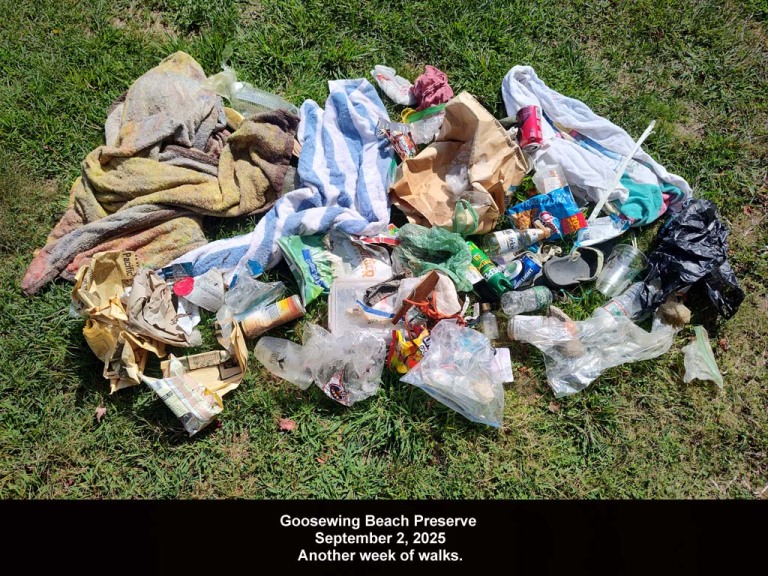 GWT-2025-AY_Goosewing