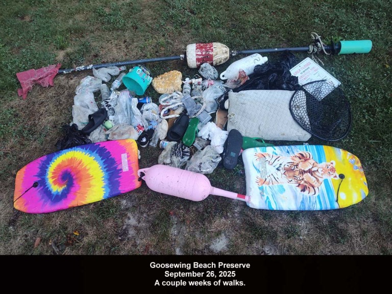GWT-2025-AZ_Goosewing