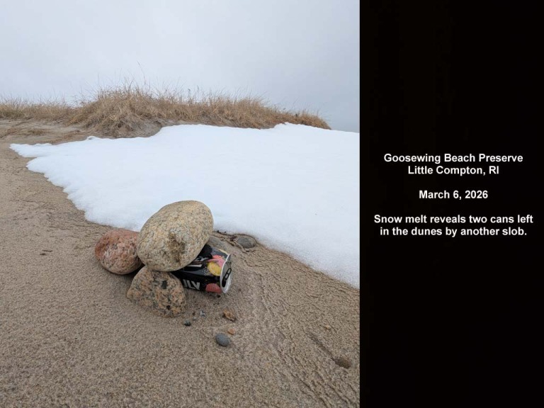GWT-2026-AB_Goosewing