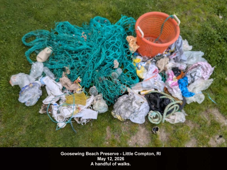GWT-2026-AF_Goosewing