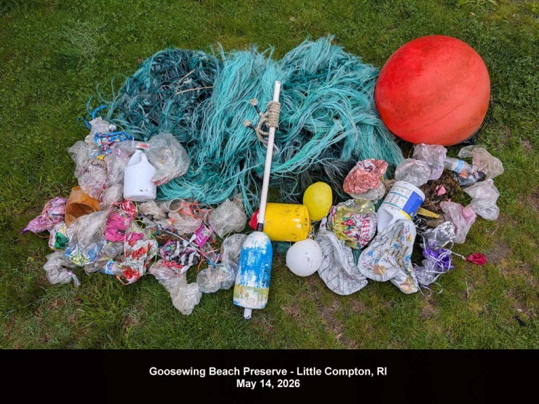 GWT-2026-AG_Goosewing