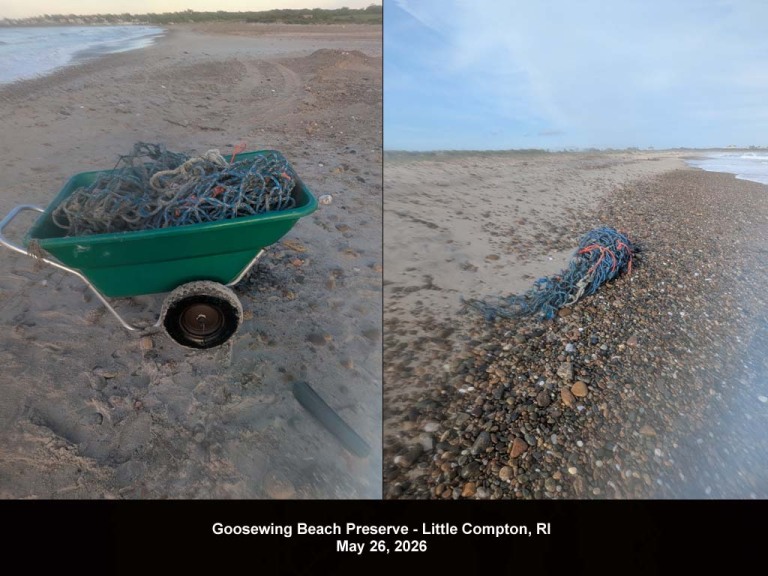 GWT-2026-AH_Goosewing