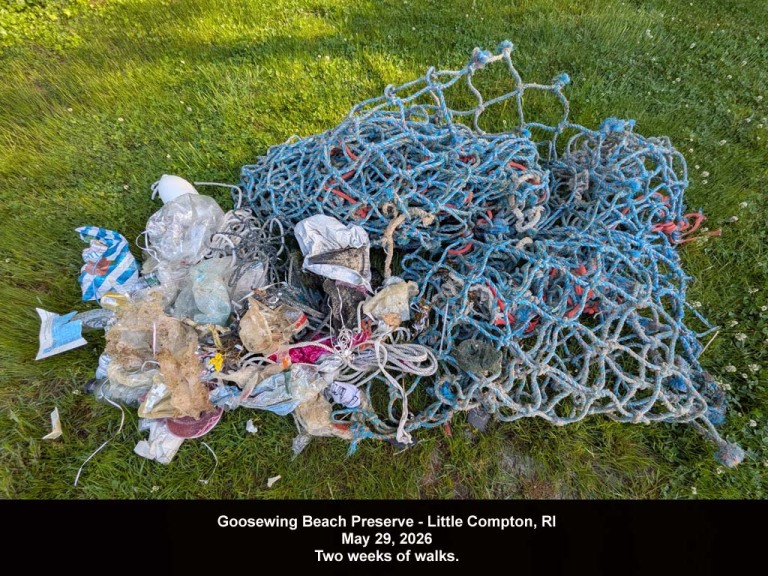GWT-2026-AI_Goosewing