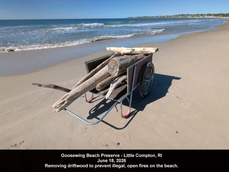 GWT-2026-AJ_Goosewing